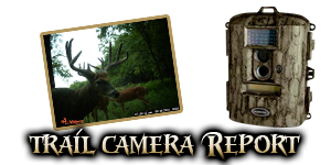 trail camera report